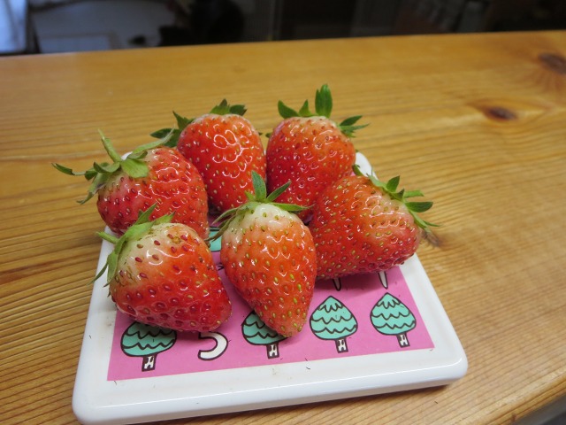 ファイル 112-4.jpg