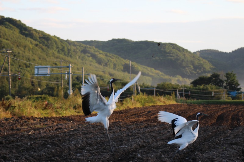 ファイル 114-9.jpg