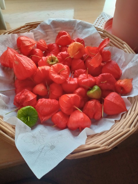 ファイル 117-1.jpg