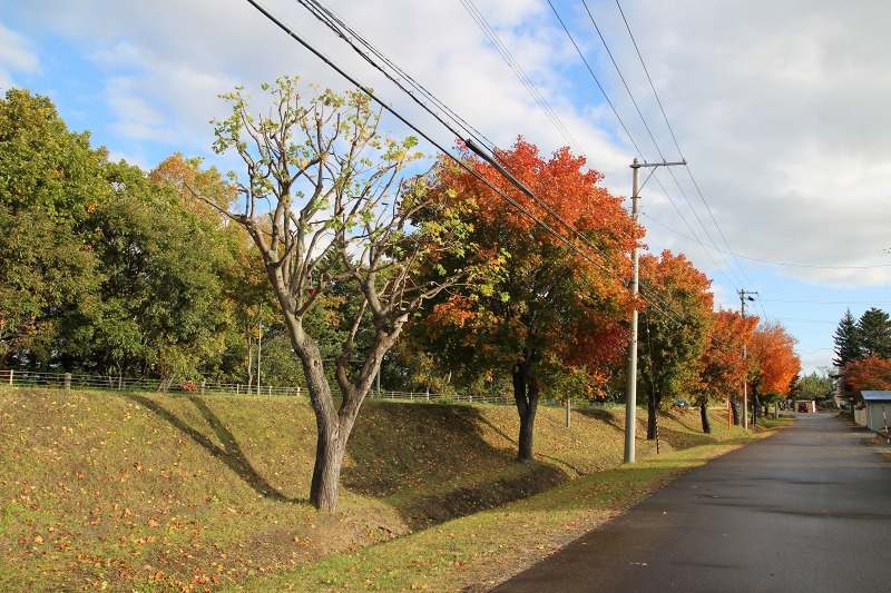 ファイル 118-1.jpg