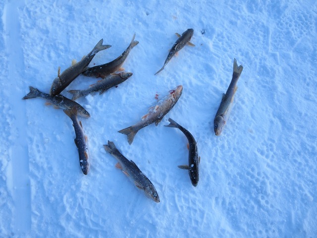 ファイル 12-6.jpg