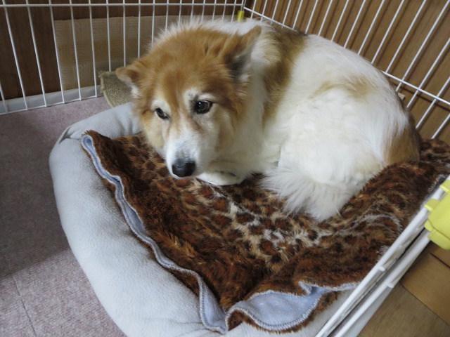 ファイル 121-1.jpg