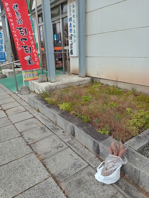 ファイル 122-2.jpg