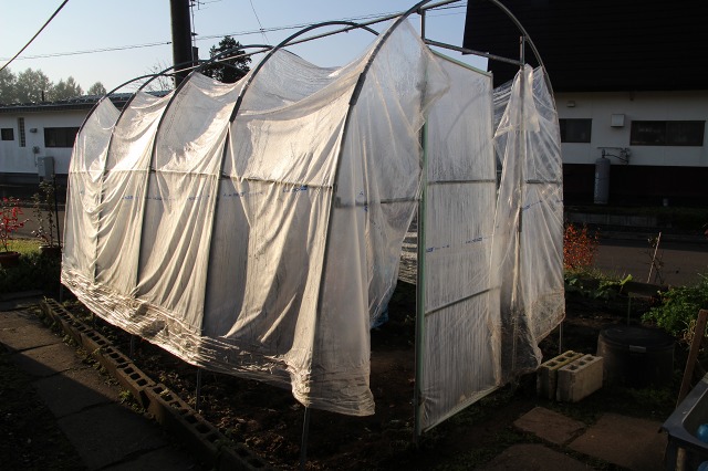 ファイル 123-2.jpg