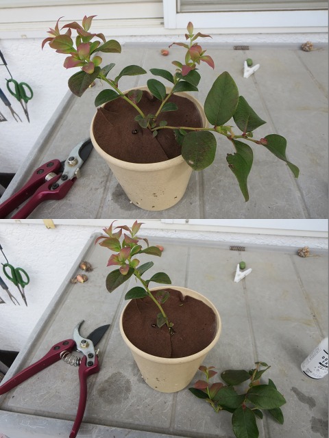 ファイル 124-4.jpg