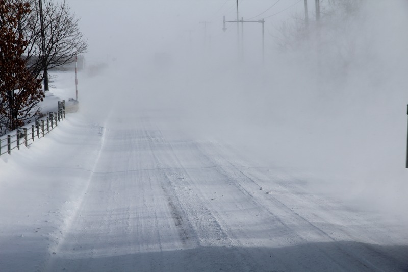 ファイル 13-1.jpg