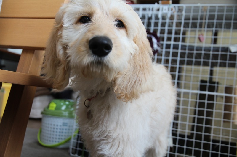 ファイル 13-3.jpg