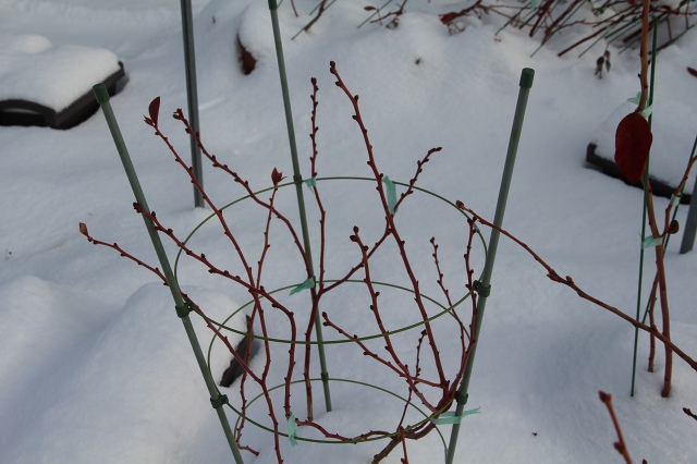 ファイル 134-3.jpg