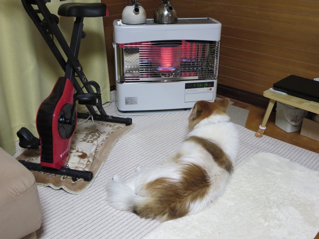 ファイル 137-1.jpg