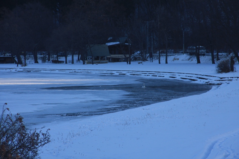 ファイル 137-3.jpg