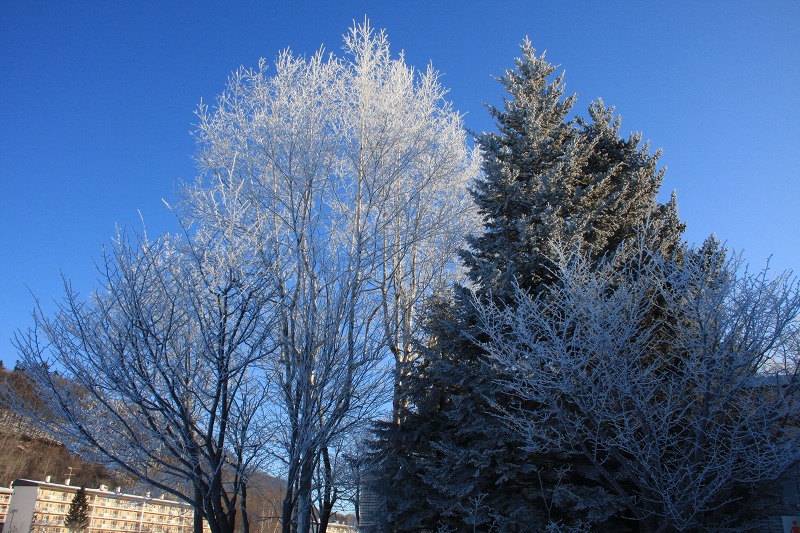 ファイル 14-2.jpg