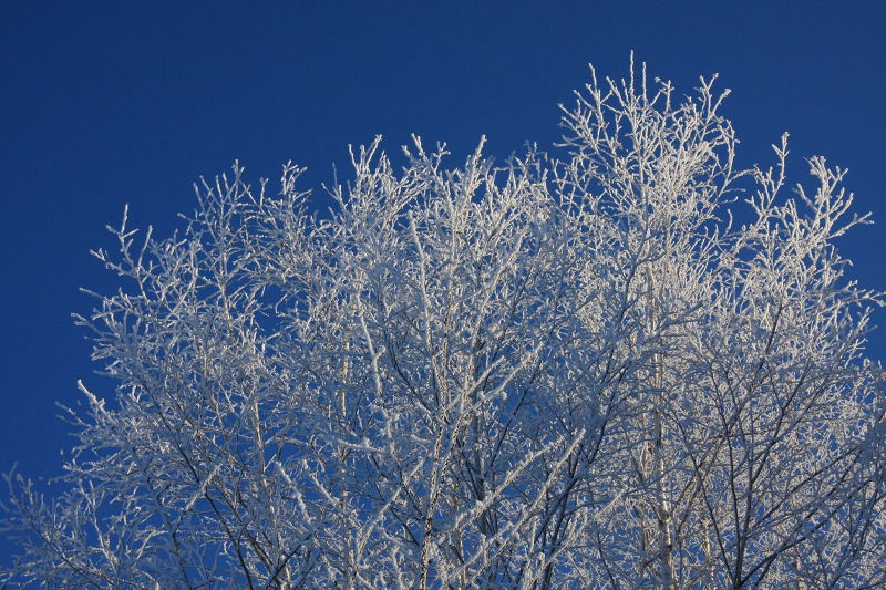 ファイル 14-3.jpg