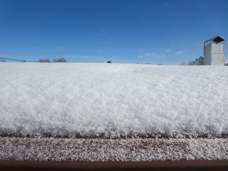 ファイル 16-2.jpg