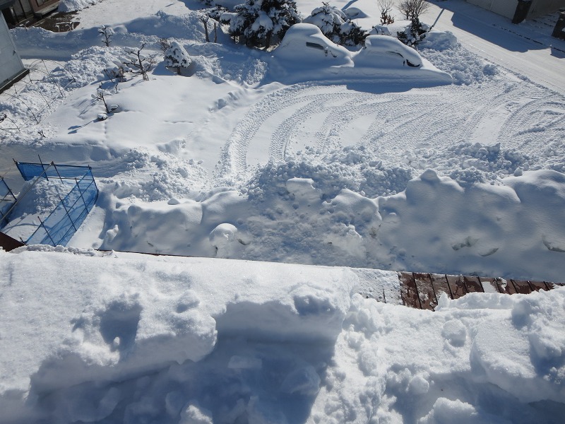 ファイル 16-5.jpg