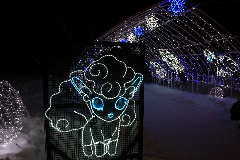 ファイル 18-5.jpg