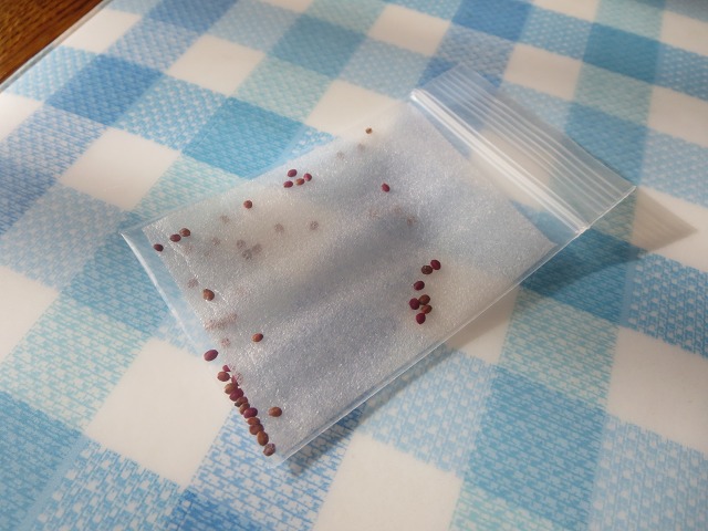 ファイル 19-4.jpg