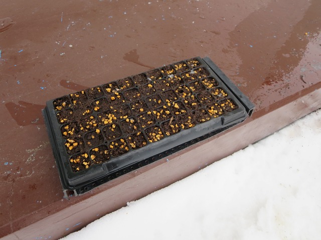 ファイル 19-5.jpg