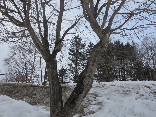 ファイル 19-6.jpg