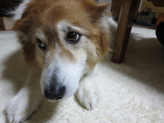 ファイル 20-2.jpg