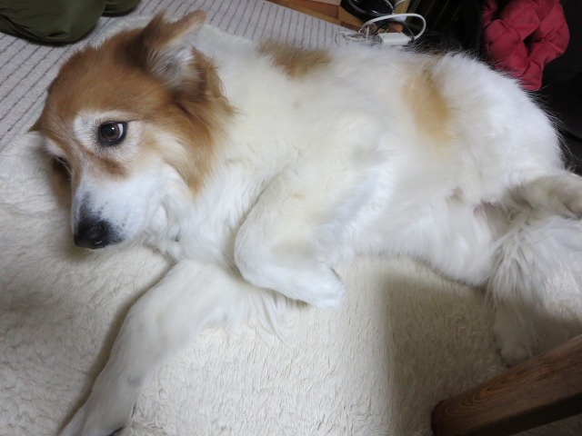 ファイル 20-6.jpg