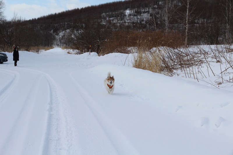 ファイル 21-3.jpg