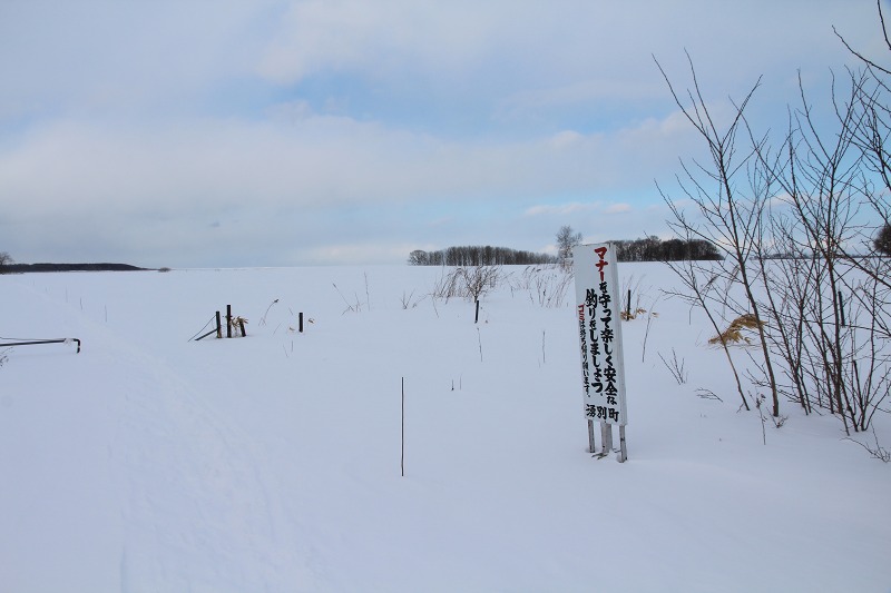 ファイル 21-7.jpg