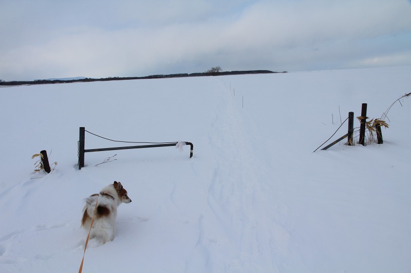 ファイル 21-8.jpg