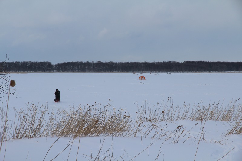 ファイル 21-9.jpg