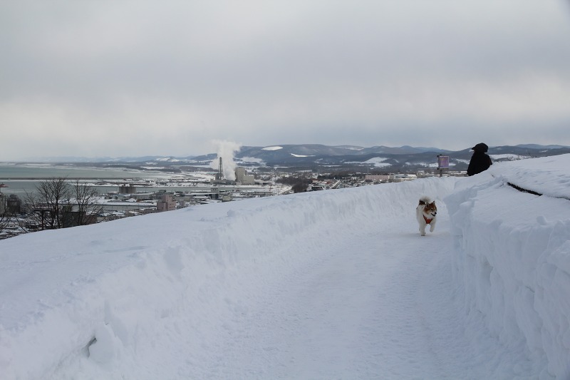 ファイル 27-1.jpg