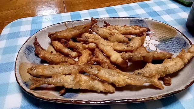 ファイル 28-8.jpg