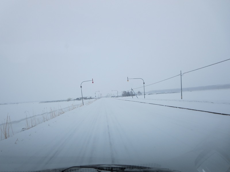 ファイル 29-1.jpg