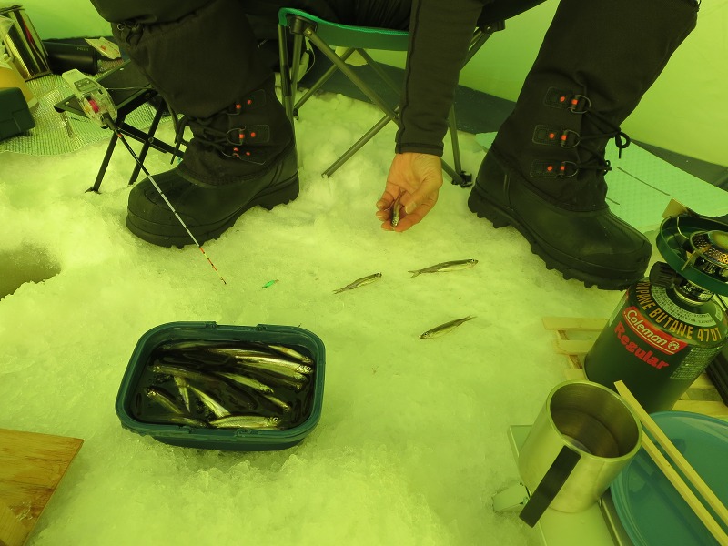 ファイル 30-2.jpg