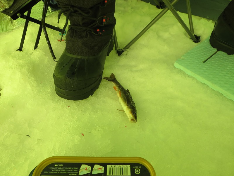 ファイル 30-3.jpg