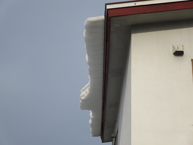 ファイル 31-1.jpg