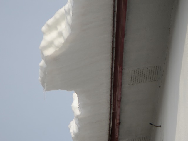 ファイル 31-2.jpg