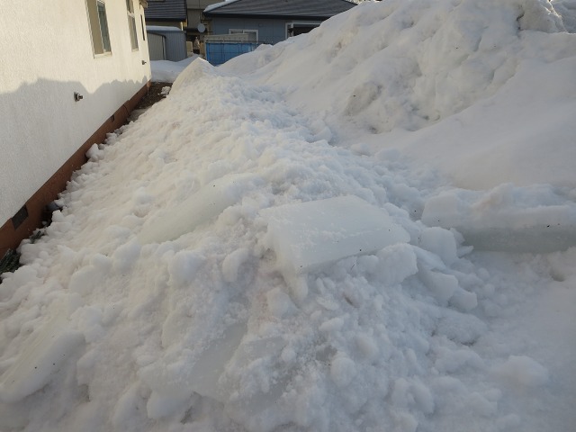 ファイル 31-5.jpg