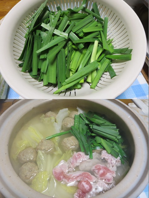 ファイル 33-1.jpg