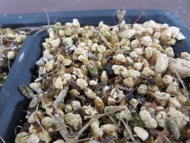 ファイル 34-2.jpg