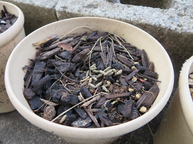 ファイル 34-4.jpg