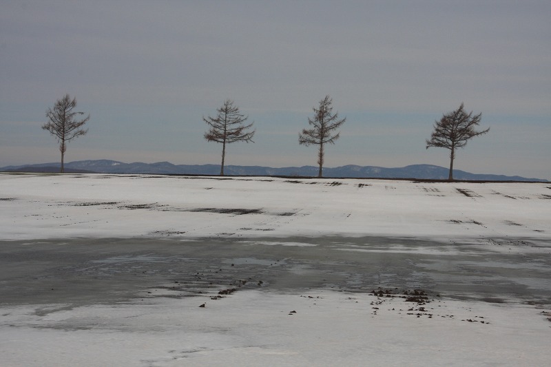 ファイル 35-2.jpg