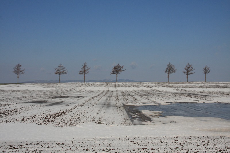 ファイル 35-3.jpg