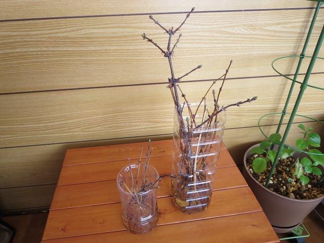 ファイル 36-3.jpg