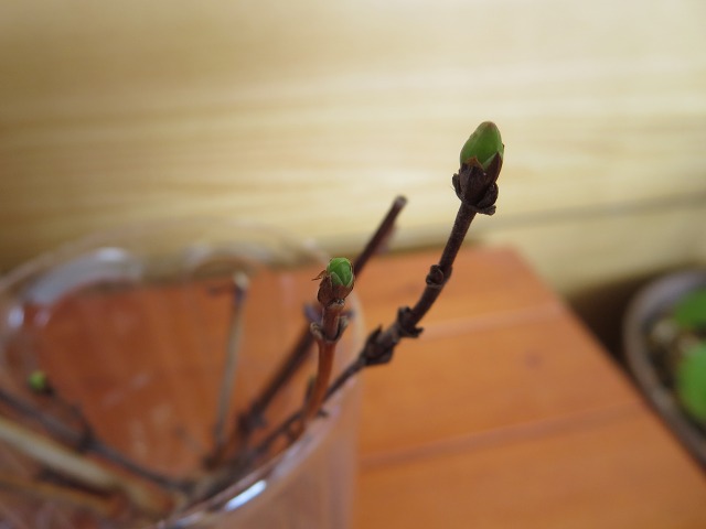 ファイル 36-4.jpg