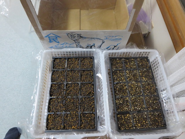 ファイル 36-5.jpg