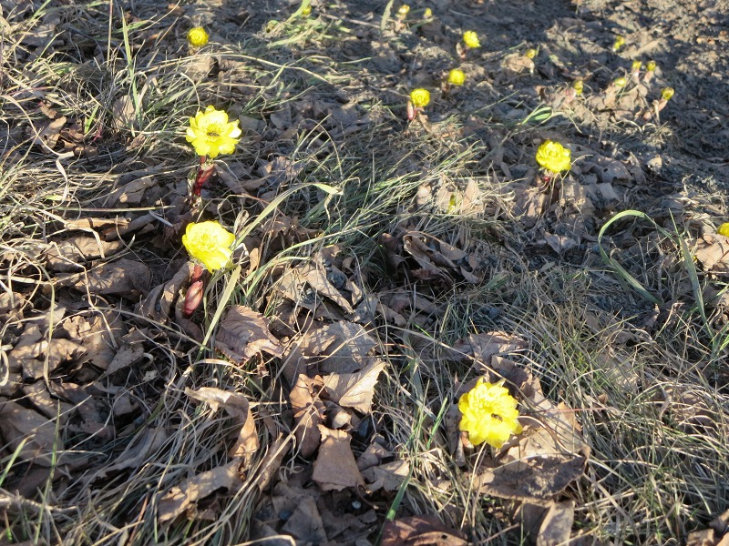 ファイル 36-6.jpg