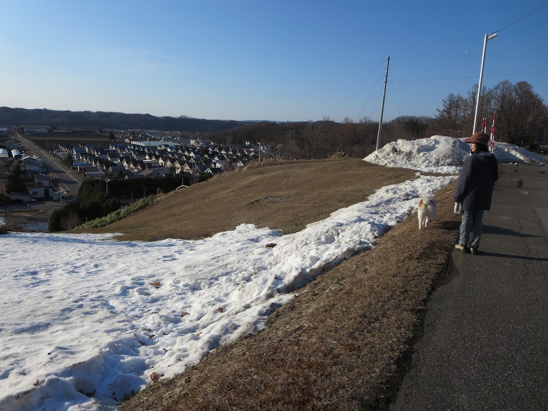 ファイル 36-7.jpg