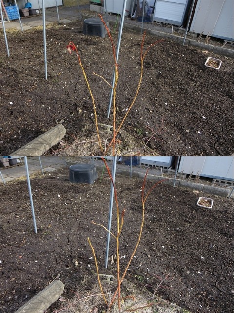 ファイル 37-1.jpg