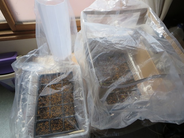 ファイル 37-6.jpg