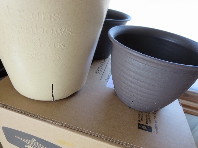 ファイル 37-9.jpg