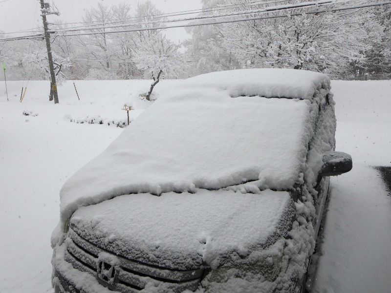 ファイル 38-4.jpg